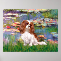 Cavalier 2 (blenheim) - Lilies 2 Posters