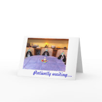 Cavalier Birthday Wishes Cards