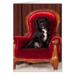 Cavalier King Charles Ace Card