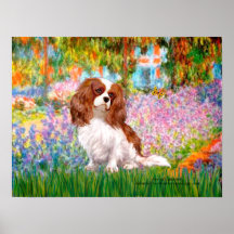 Cavalier King Charles (Blenheim) - Garden Print