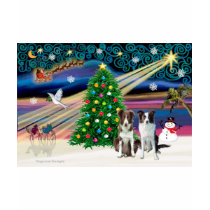 Cavalier King Charles Border Collies (two) t-shirts by dogartchristmasgifts Cavalier King Charles Border Collies (two) t-shirts