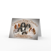 Cavalier King Charles Can't Have Just One gifts cards