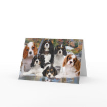 Cavalier King Charles Can't Have Just One gifts cards
