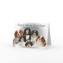 Cavalier King Charles Can't Have Just One gifts cards