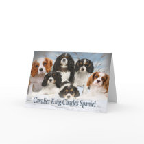 Cavalier King Charles Can't Have Just One gifts cards