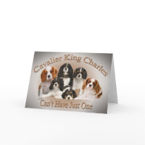 Cavalier King Charles Can't Have Just One gifts cards