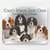 Cavalier King Charles Can't Have Just One gifts mousepads