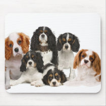 Cavalier King Charles Can't Have Just One gifts mousepads