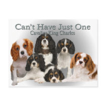 Cavalier King Charles Can't Have Just One gifts postcards