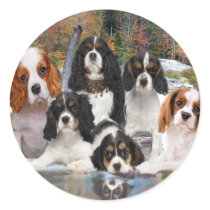 Cavalier King Charles Can't Have Just One gifts stickers