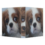 Cavalier King Charles cute puppy dog binder