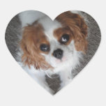 Cavalier King Charles cute puppy dog heart sticker