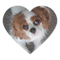 Cavalier King Charles cute puppy dog heart sticker stickers