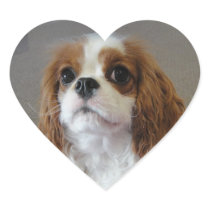 Cavalier King Charles cute puppy dog heart sticker stickers