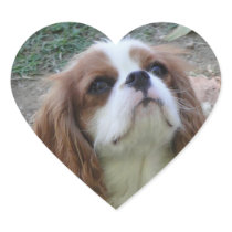Cavalier King Charles cute puppy dog heart sticker stickers