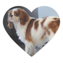 Cavalier King Charles cute puppy dog heart sticker stickers
