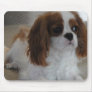 Cavalier King Charles cute puppy dog mousepad