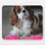 Cavalier King Charles cute puppy dog mousepad