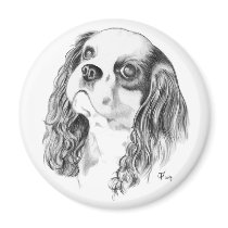 Cavalier King Charles Drawing magnets by catanddog Cavalier King Charles Drawing magnets