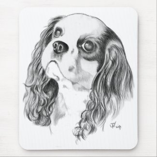 Cavalier King Charles Drawing 