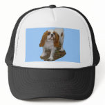 Cavalier King Charles Mesh Hat