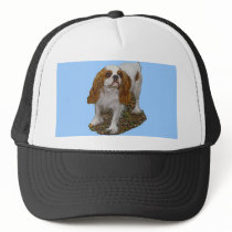 Cavalier King Charles hats