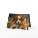 Cavalier King Charles Holiday Star cards