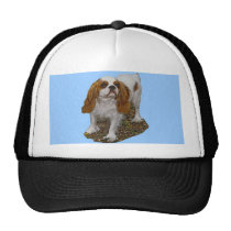 Cavalier King Charles hats