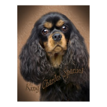 Cavalier King Charles Portrait poster posters by friskybiz Cavalier King Charles Portrait poster posters