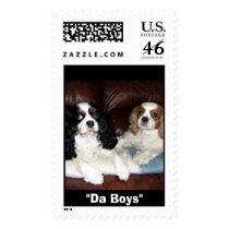 Cavalier King Charles postage