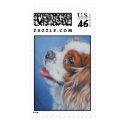 Cavalier King Charles postage stamp