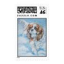 cavalier king charles postage stamp