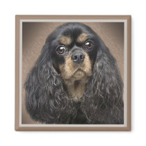 Cavalier King Charles Puppy Magnets