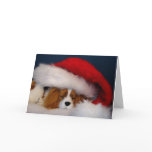 Cavalier King Charles Santa Card