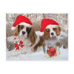 Cavalier King Charles Snow Scene postcards