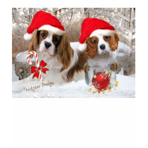 Cavalier King Charles Snow Scene t-shirts