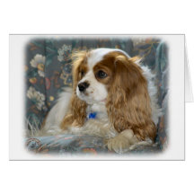 Cavalier King Charles Spaniel 8R16D-01 Card