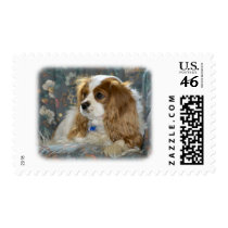 Cavalier King Charles Spaniel 8R16D-01 Postage