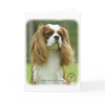 Cavalier King Charles Spaniel 9F097D-08 Card