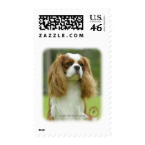 Cavalier King Charles Spaniel 9F097D-08 Stamp