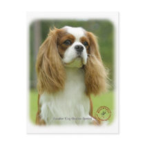 Cavalier King Charles Spaniel 9F097D-08 postcards