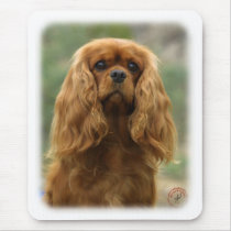 Cavalier King Charles Spaniel 9F51D-10 mousepads by TraffordPhotos Cavalier King Charles Spaniel 9F51D-10 mousepads