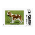 Cavalier King Charles Spaniel 9J001D-06 postage