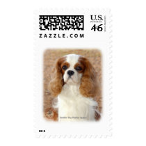 Cavalier King Charles Spaniel 9L005D-08 Postage Stamps