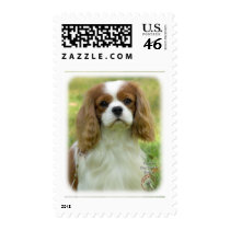 Cavalier King Charles Spaniel 9P032D-036 Stamps