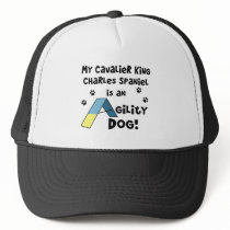 Cavalier King Charles Spaniel Agility Dog Hat