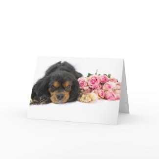 Cavalier King Charles Spaniel And Roses Card card