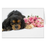 Cavalier King Charles Spaniel And Roses Card