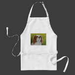 Cavalier King Charles Spaniel Art - Addie - Aprons