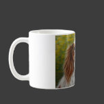 Cavalier King Charles Spaniel Art - Addie - Coffee Mugs
